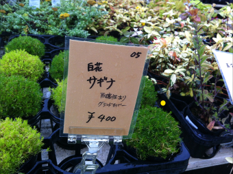 あいあい