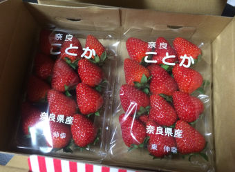 いちご
