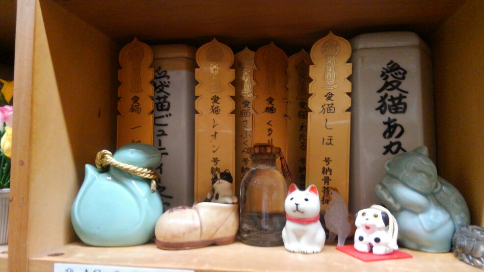 KIMG0063.jpg