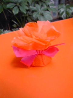 180615_1210~01.jpg
