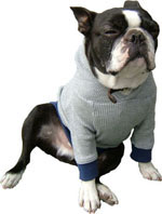 tharmal parka