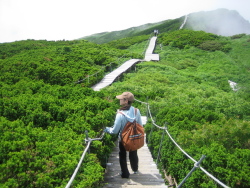 これから下山!まわりは大山きゃらぼくの木です
