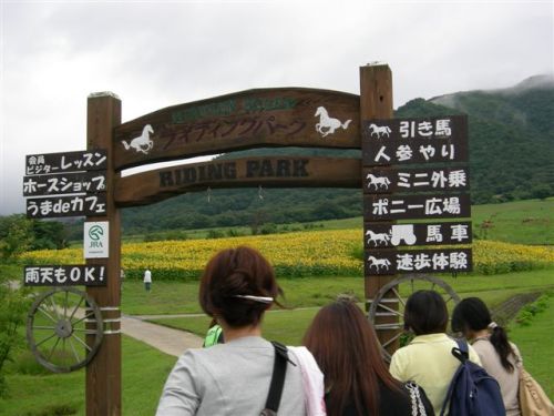 蒜山ホースパーク入り口