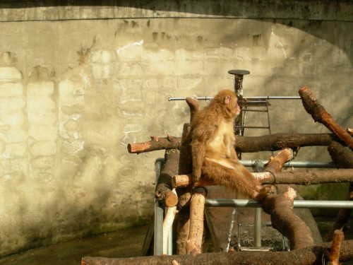 打吹公園