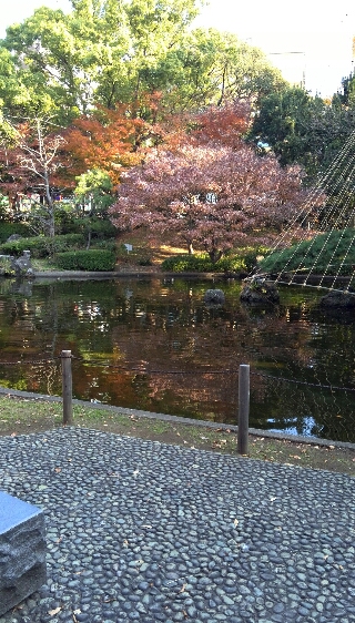 画像のテスト投稿
