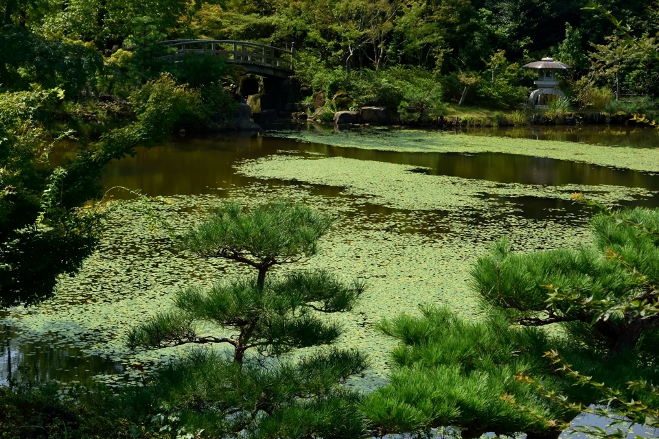 aichikyuhakupark_9.jpg