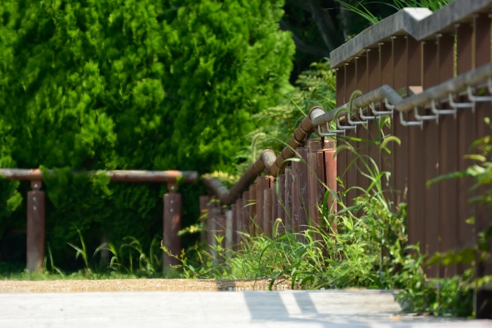 aichikyuhakupark_12.jpg