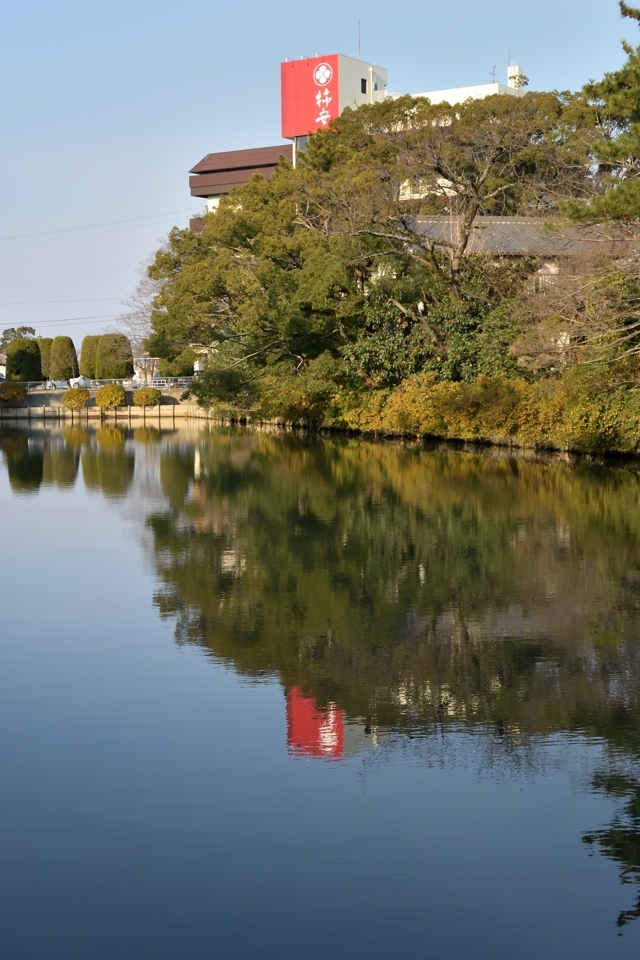 kuwanajo-run_26.jpg