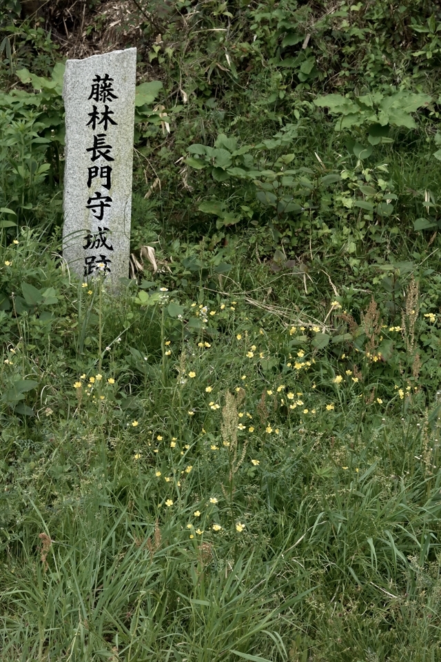 iganinjarun_8.jpg
