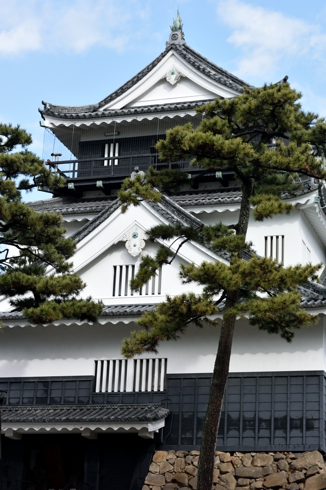 岡崎城ランニング2.jpg