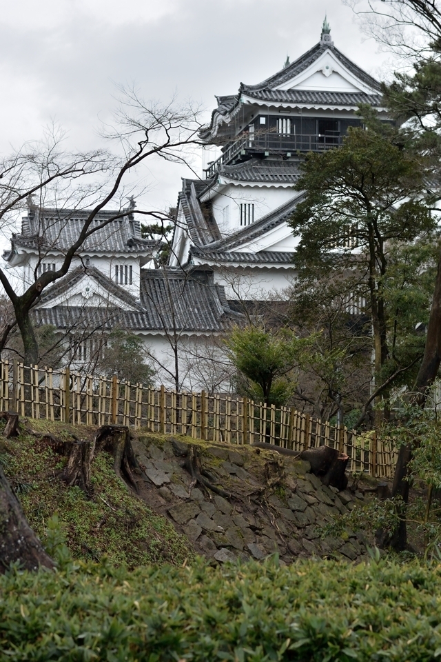 岡崎城ランニング6.jpg