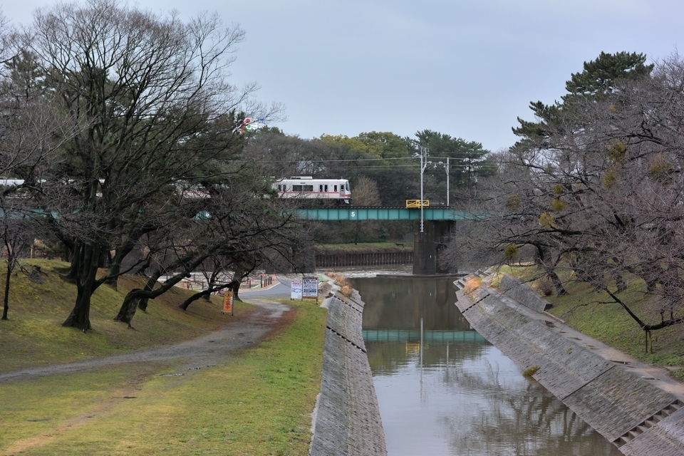 岡崎城ランニング8.jpg
