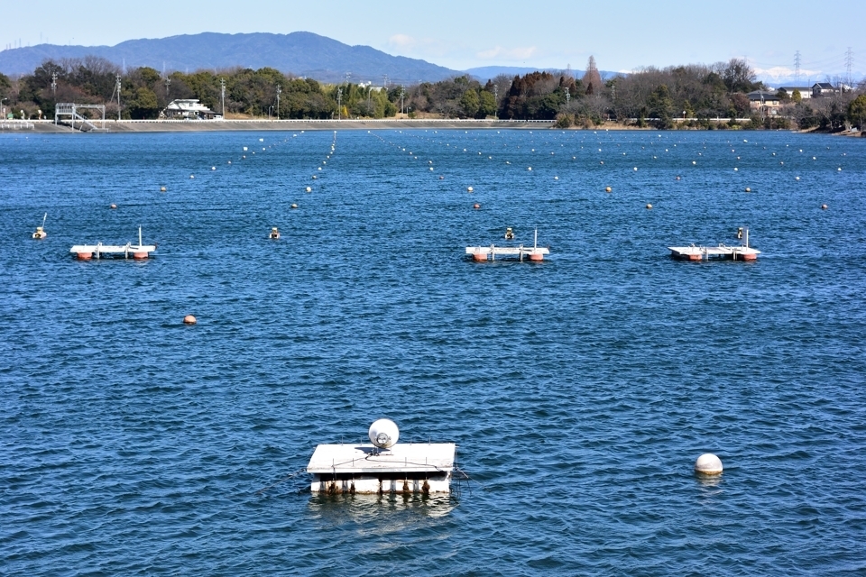 三好池一周1.jpg