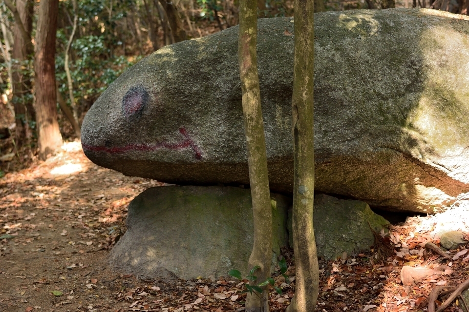 猿投山登山5.jpg