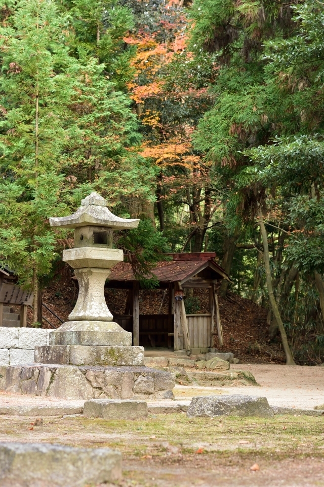 猿投山登山8.jpg