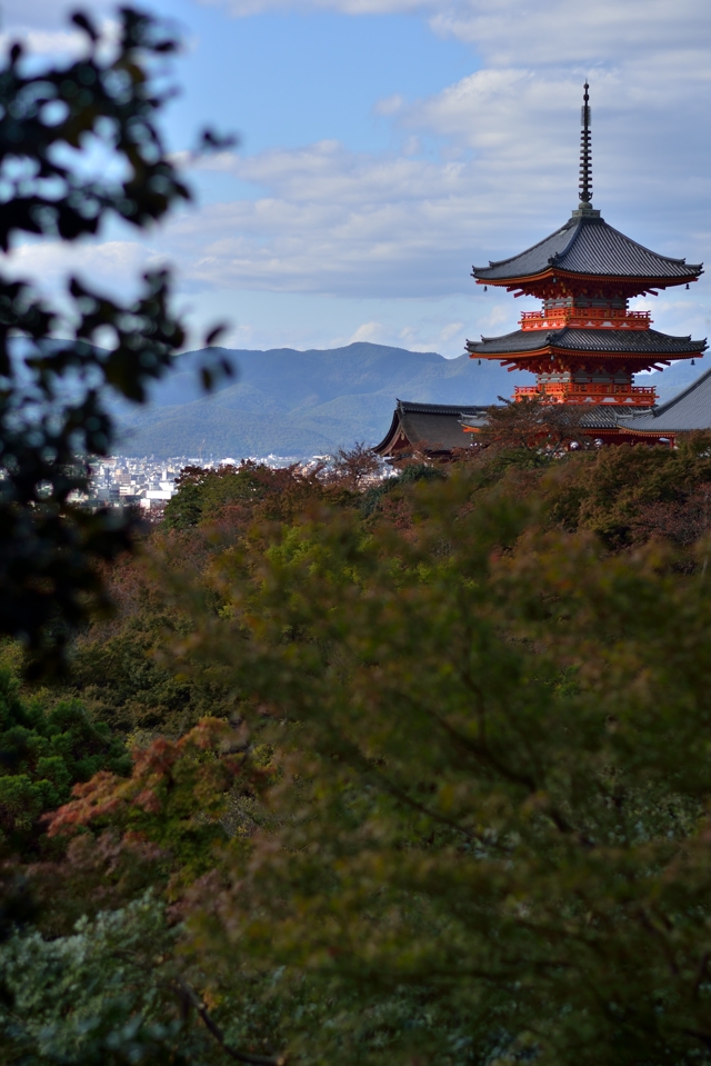 京都清水坂 散策写真4.jpg