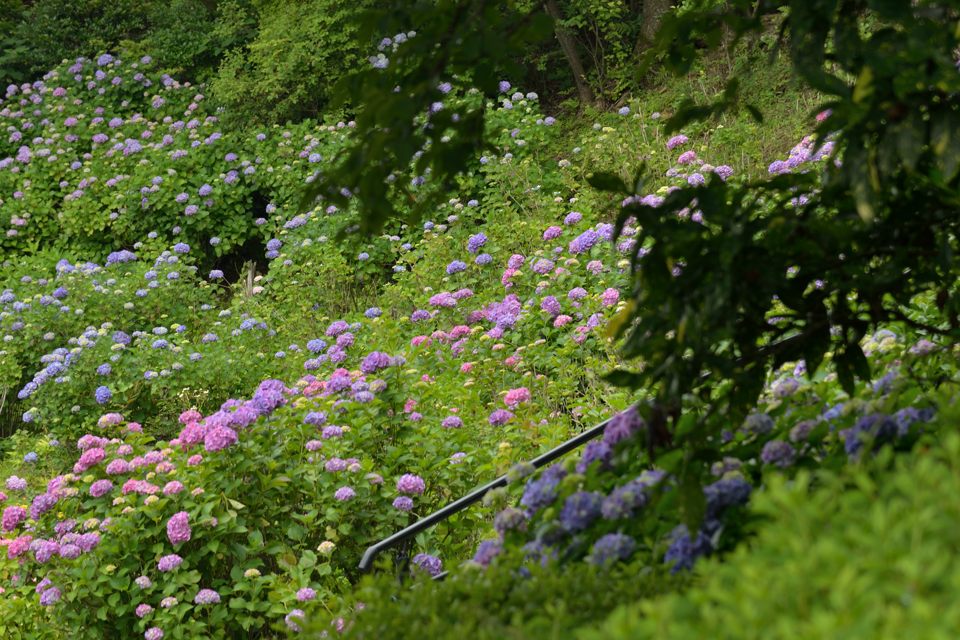 明治村 写真7.jpg