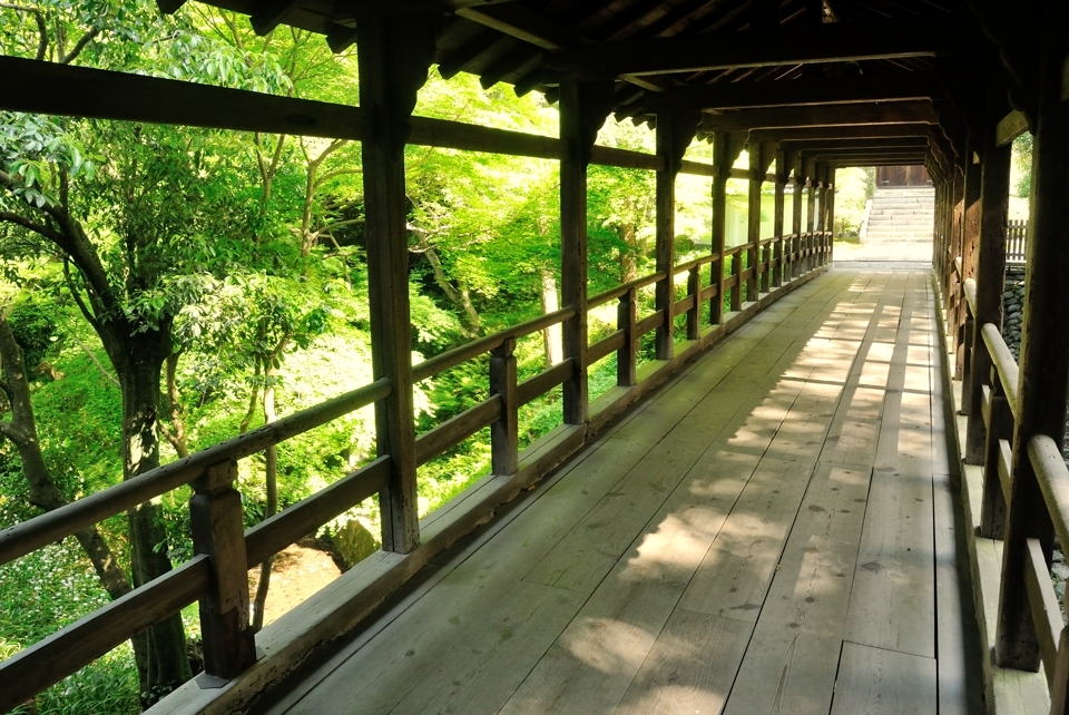 京都一周トレイルランニング東山コース4.jpg