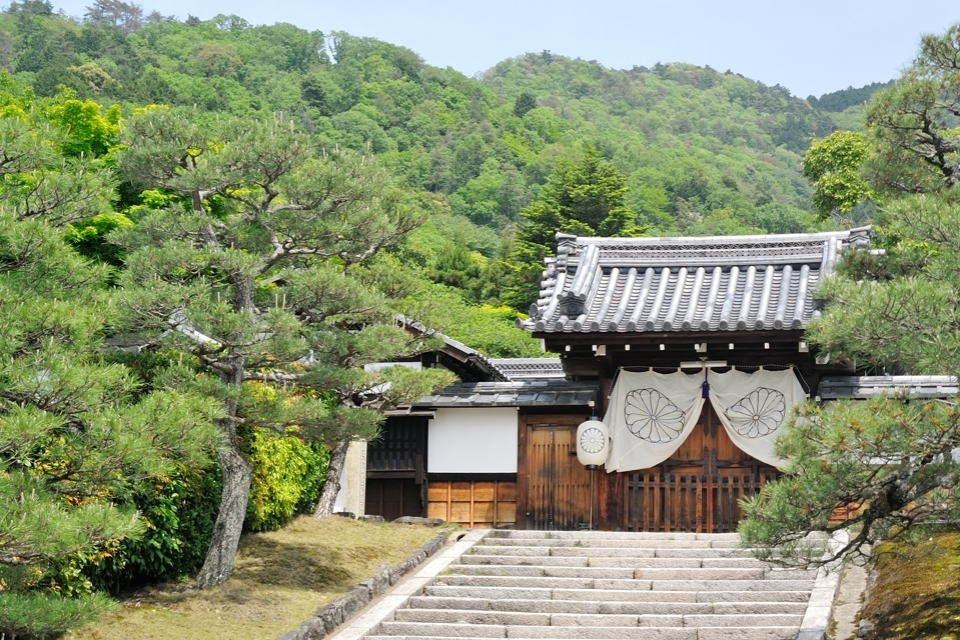 京都一周トレイルランニング東山コース16.jpg