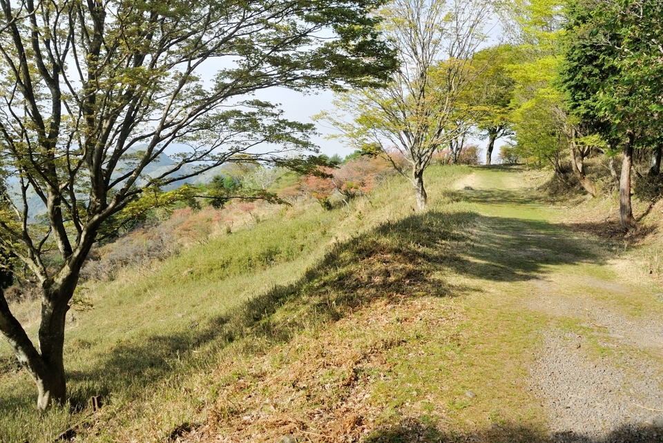 京都一周トレイルランニング東山コース22.jpg