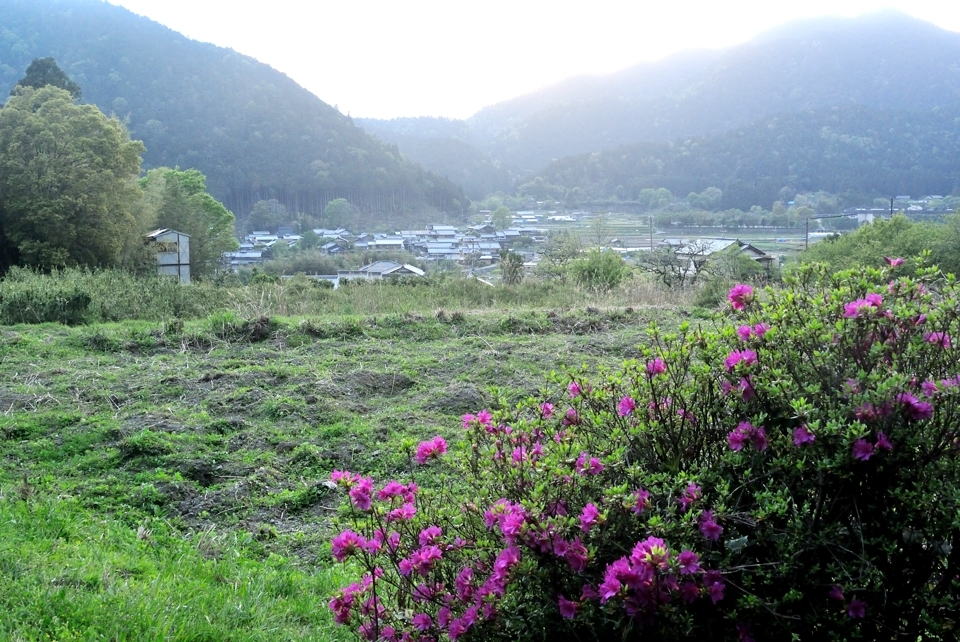 京都一周トレイルランニング東山コース27.jpg
