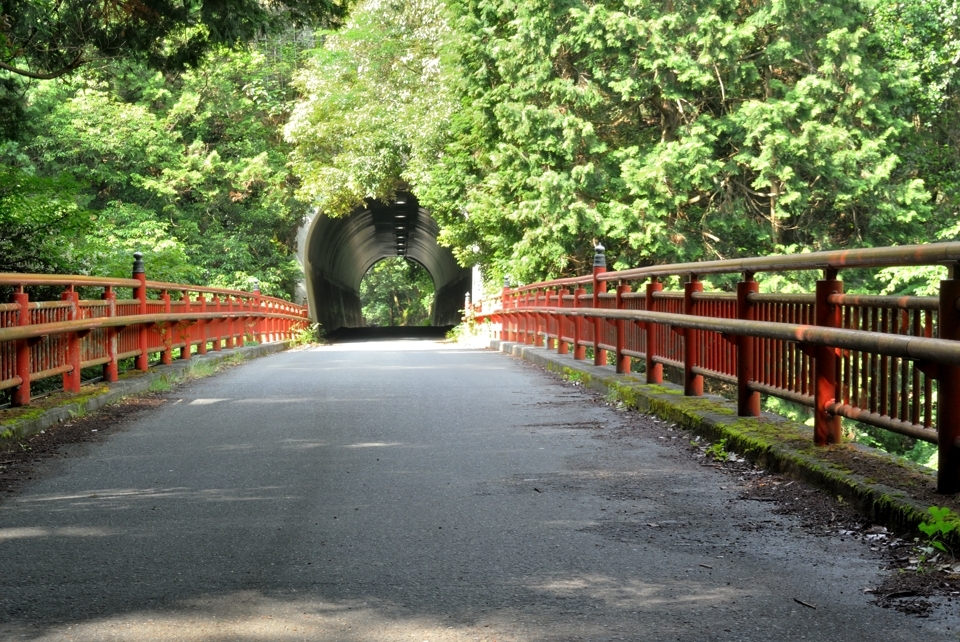 京都一周トレイル_西山コース14.jpg