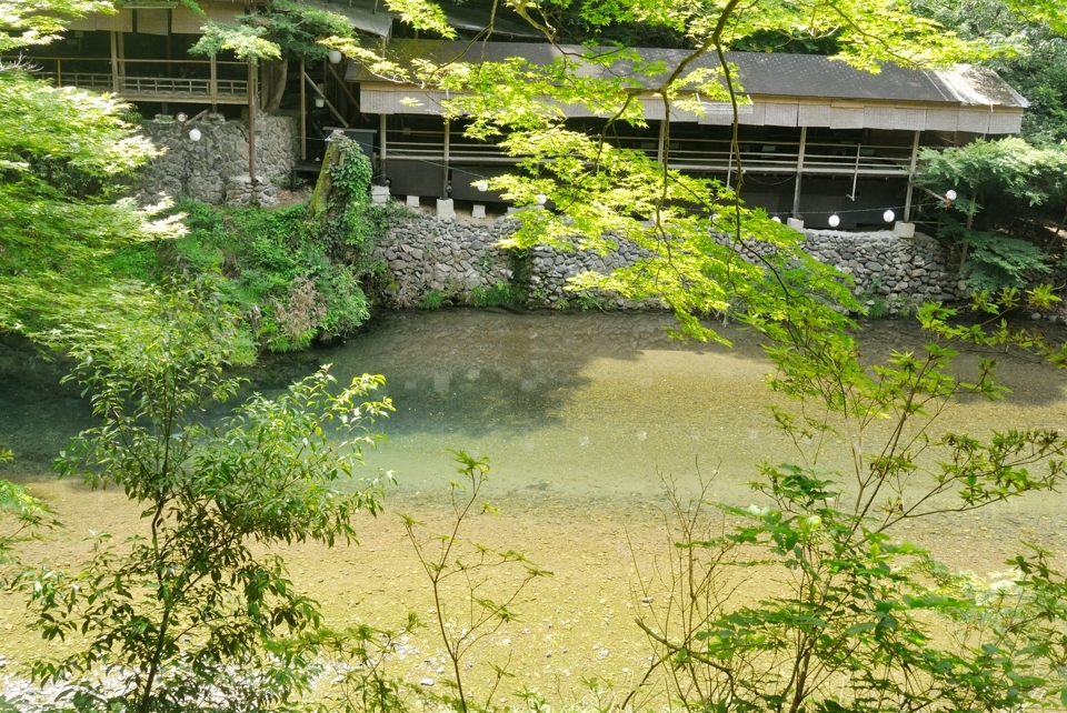 京都一周トレイル_西山コース19.jpg