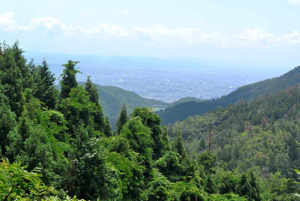 京都一周トレイル_西山コース26.jpg
