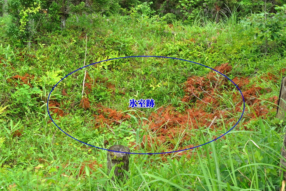 京都一周トレイル_西山コース33.jpg