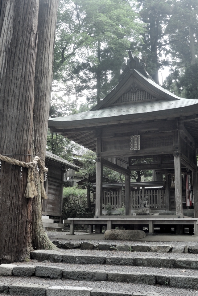 京都一周トレイル_西山コース39.jpg