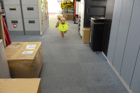 P1080181.JPG
