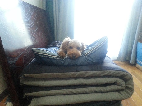 20141026_143138.jpg