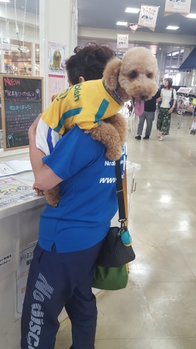 20180602_173621.jpg