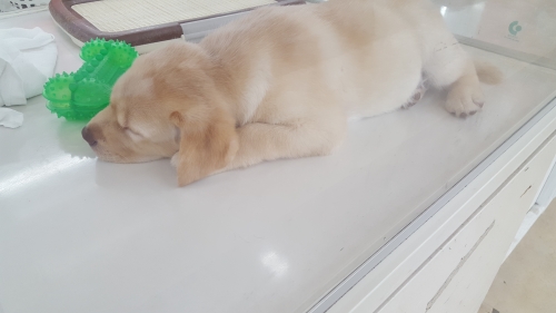 20180602_174122.jpg