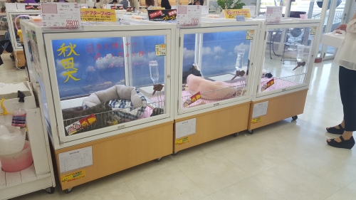 20180602_174145.jpg