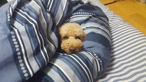 20180607_074823.jpg