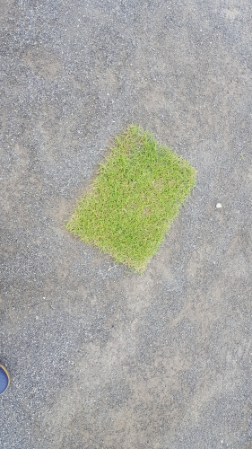 20180615_122110.jpg
