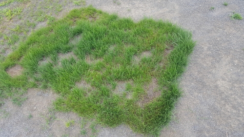 20180615_122121.jpg