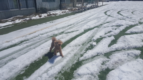 20190413_101835.jpg
