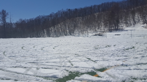 20190413_101900.jpg
