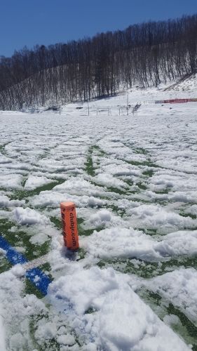 20190413_111029.jpg
