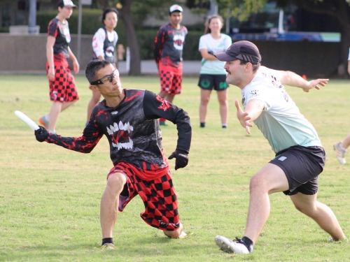 IMG_Sat_Sectionals_2056_s.JPG