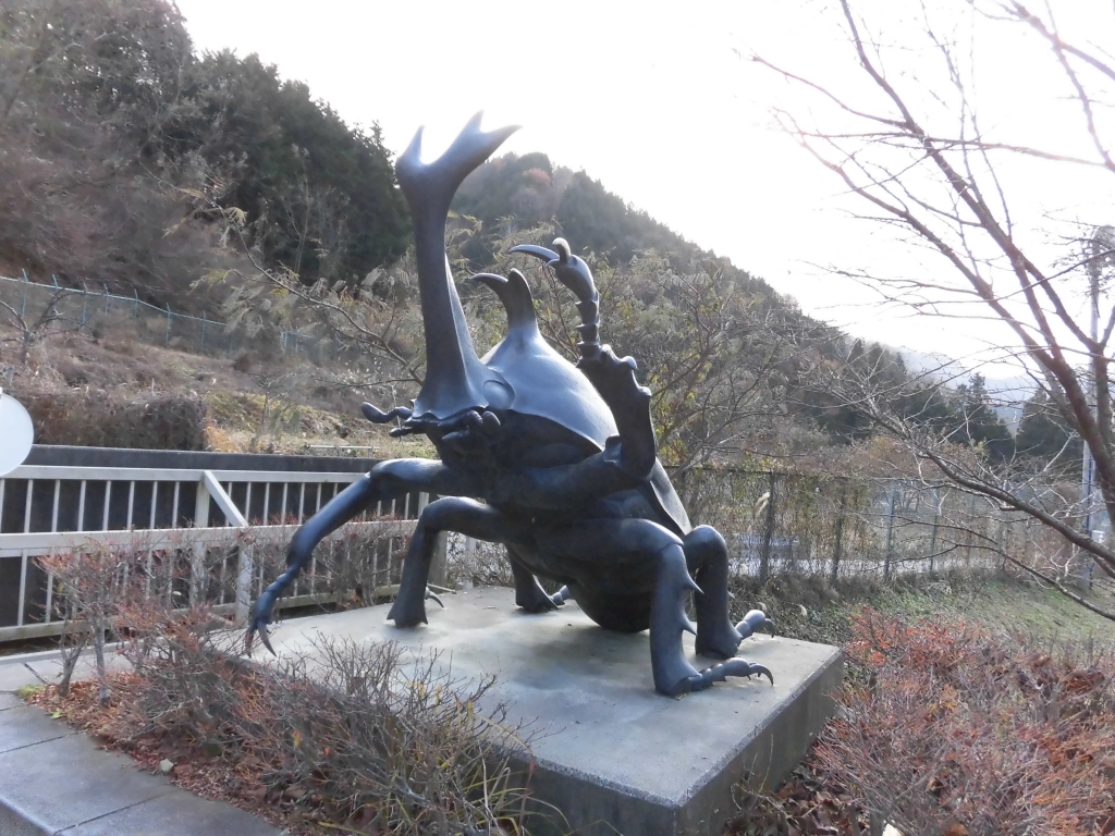 CIMG0578.JPG