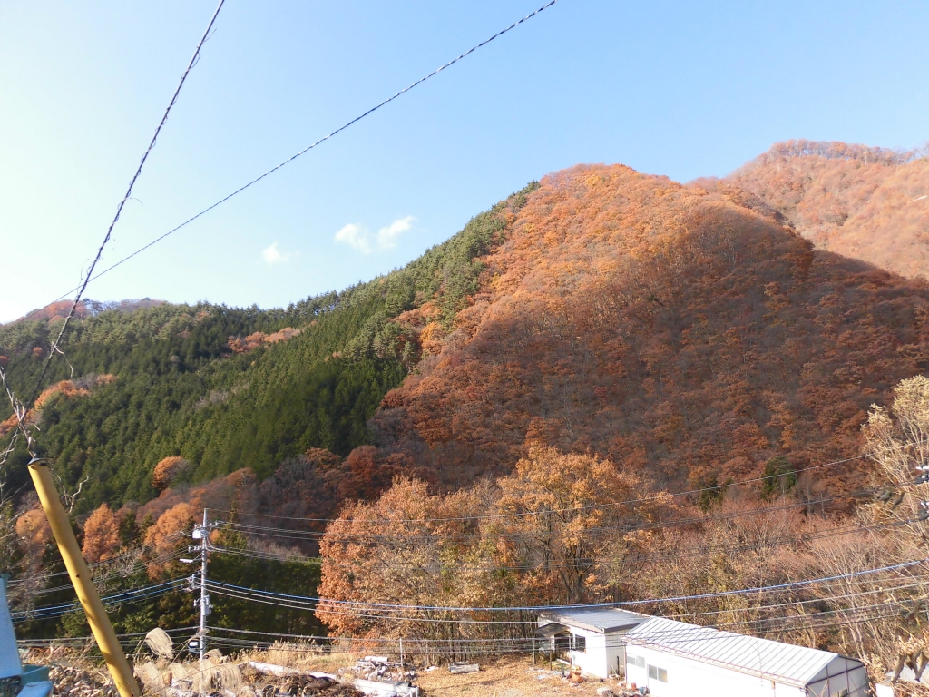 CIMG0580.JPG