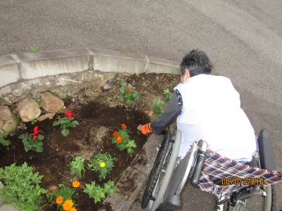 花植え