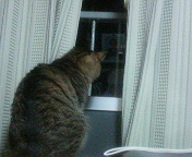 20060515_163352.jpg