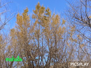 IMG_3064.JPG