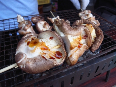 椎茸2.JPG