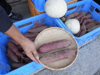 資料 743.JPG