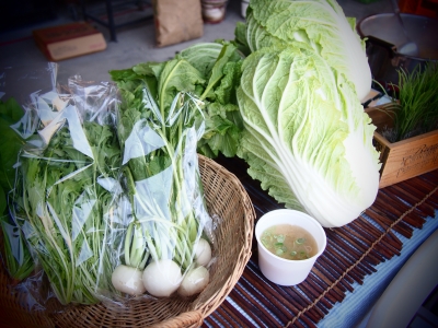 資料 851.JPG